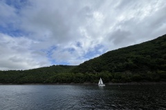 IMG_5061
