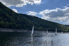 IMG_6845
